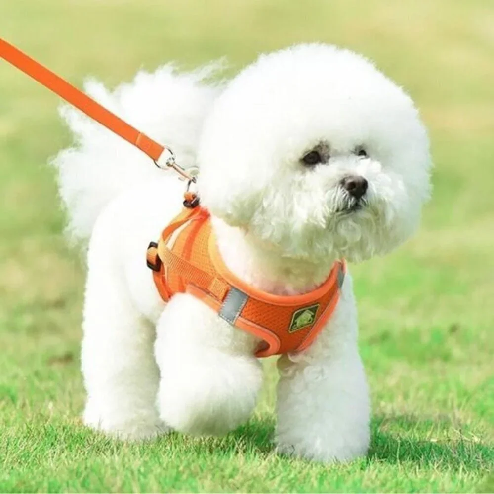 Reflective Dog Harness and Leash Set Neon OrangeNew